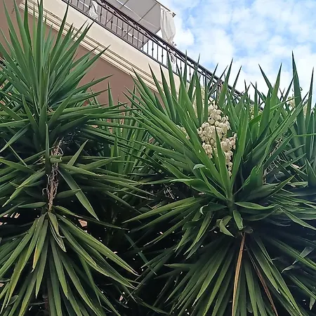 Beb Dragonara Frühstückspension