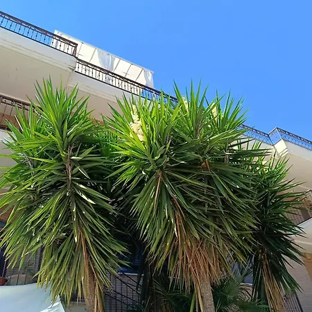 Beb Dragonara Bed and Breakfast Torre Maggiore